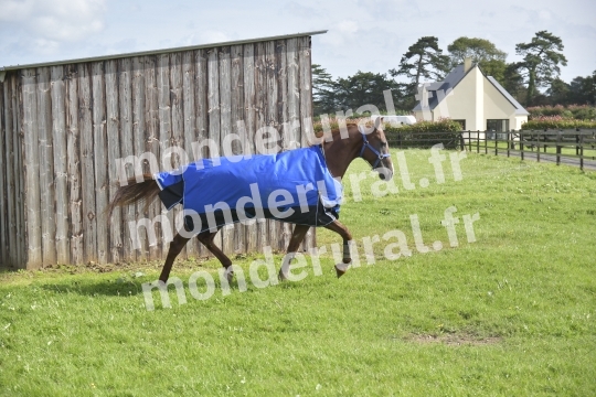 ECURIE SEBASTIEN ERNAULT