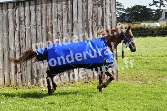 ECURIE SEBASTIEN ERNAULT