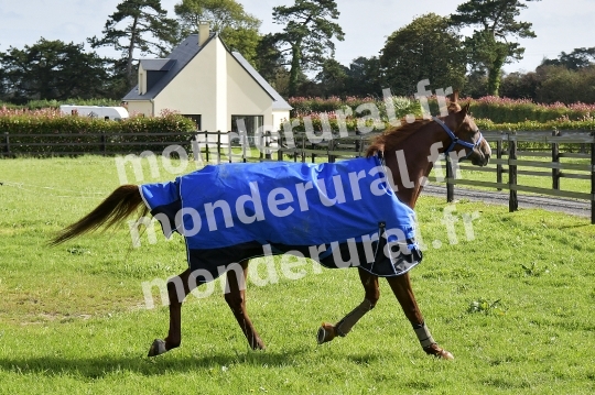 ECURIE SEBASTIEN ERNAULT