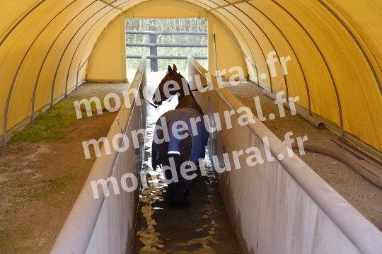 ECURIE SEBASTIEN ERNAULT