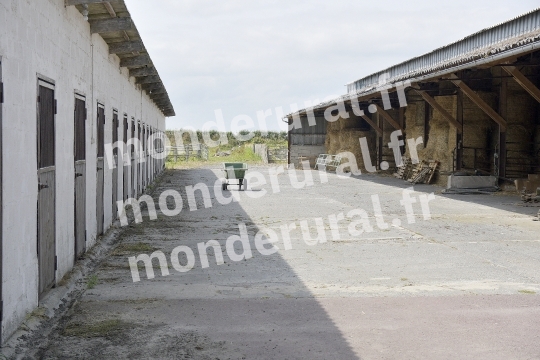 ELEVAGE DU PETIT BANVILLE