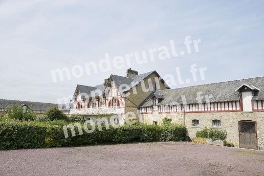 ELEVAGE DU PETIT BANVILLE