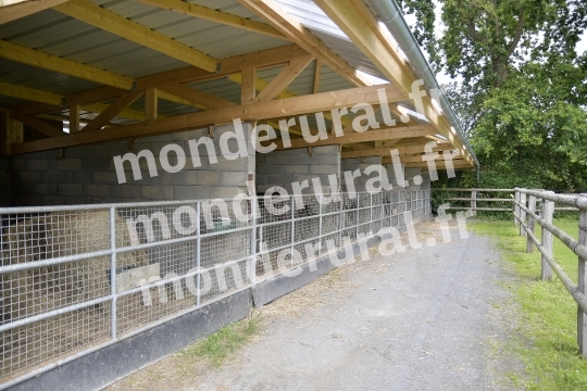 ELEVAGE DU PETIT BANVILLE