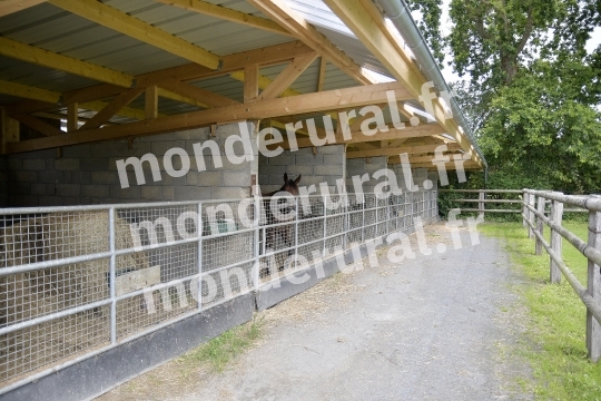 ELEVAGE DU PETIT BANVILLE