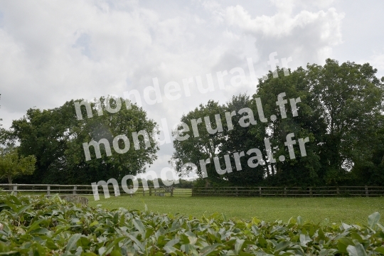 ELEVAGE DU PETIT BANVILLE