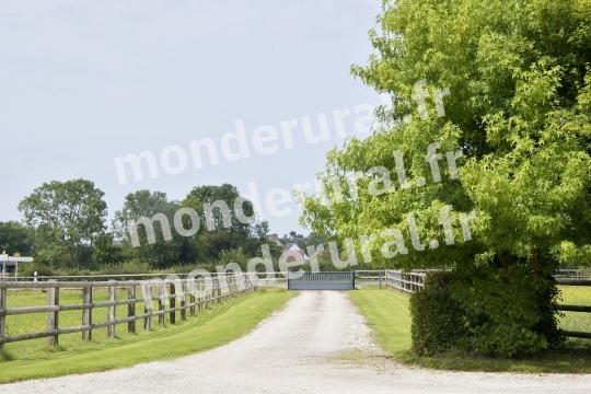 ELEVAGE DU PETIT BANVILLE