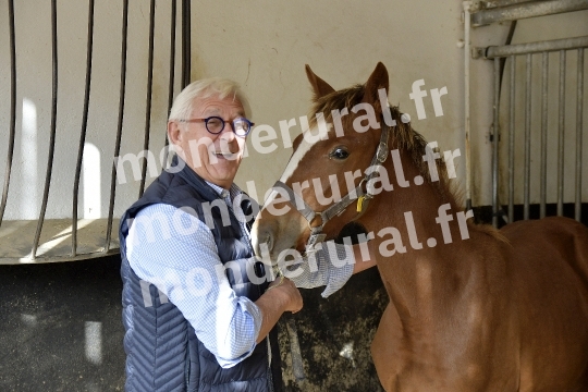 ELEVAGE JEAN-MICHEL DUBOIS