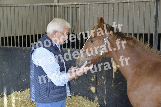 ELEVAGE JEAN-MICHEL DUBOIS