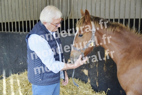 ELEVAGE JEAN-MICHEL DUBOIS