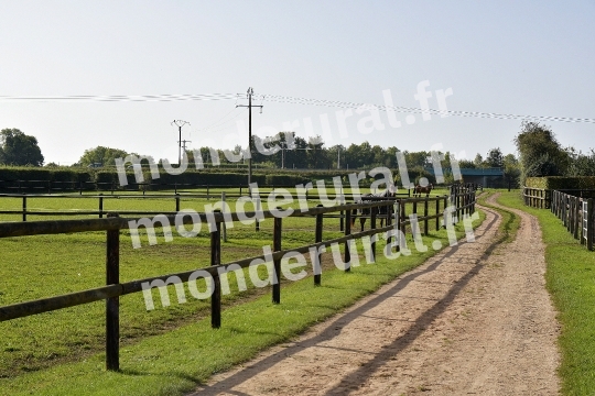 ELEVAGE JEAN-MICHEL DUBOIS