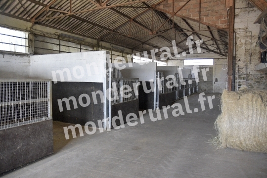 ELEVAGE JEAN-MICHEL DUBOIS