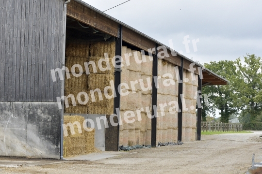 ELEVAGE PHILIPPE BARBE