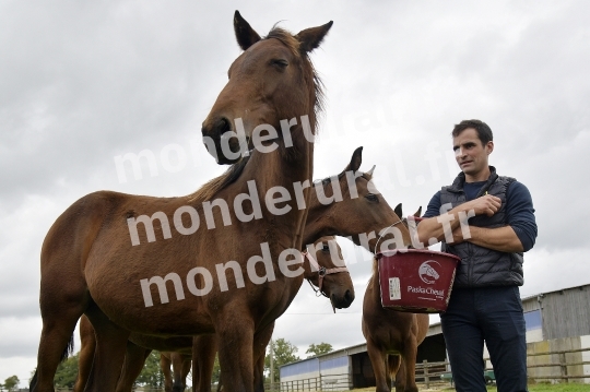 ELEVAGE PHILIPPE BARBE