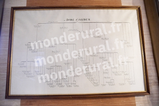 ELEVAGE PHILIPPE BARBE