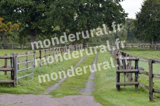 ELEVAGE PIERRE-EMMANUEL MARY