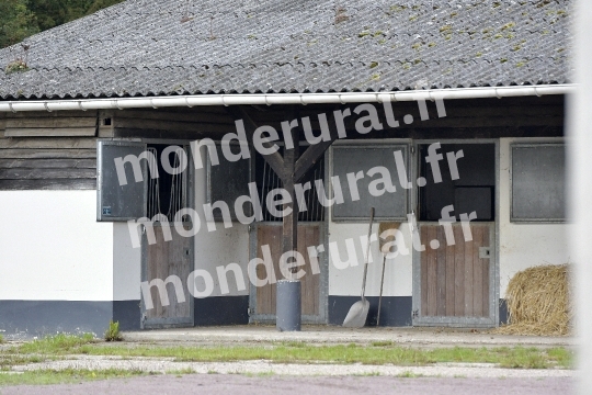 ELEVAGE PIERRE-EMMANUEL MARY