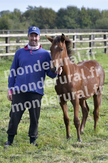 ELEVAGE PIERRE-EMMANUEL MARY