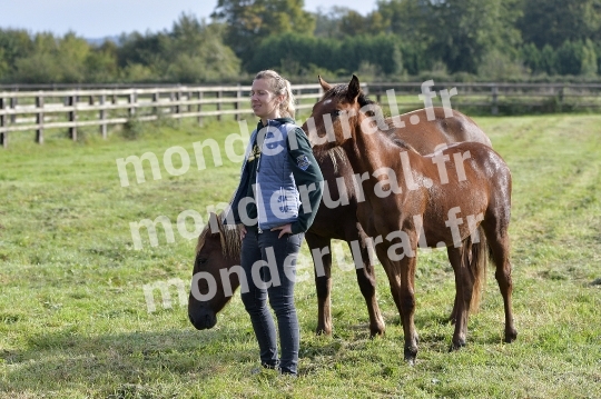 ELEVAGE PIERRE-EMMANUEL MARY