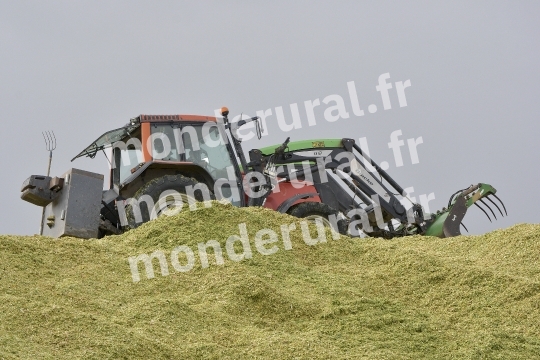 Ensilage de mais