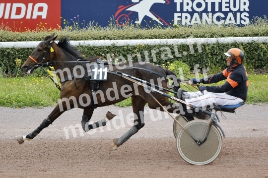 INCREDIBILE GIO - ITY