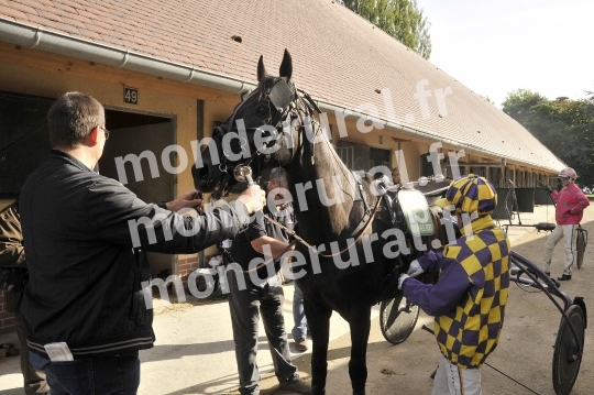 Journée Trophée Vert Le Touquet