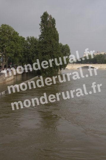 La Seine en crue