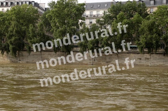 La Seine en crue