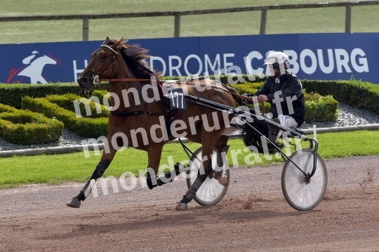 OSTENDE