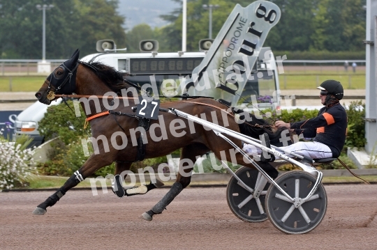 OZANO D IQUAINE