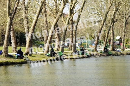 Pêche au coup de compétition