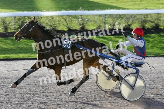 Qualifications a Caen du 10 fevrier 2016