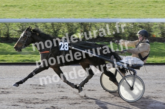 Qualifications a Caen du 23 fevrier 2016