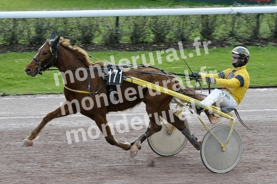 Qualifications a Caen du 23 fevrier 2016