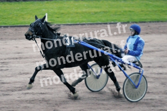 Qualifications a Caen du 27 janvier 2016