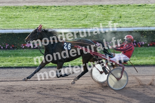 Qualifications a Caen du 31 octobre 2017