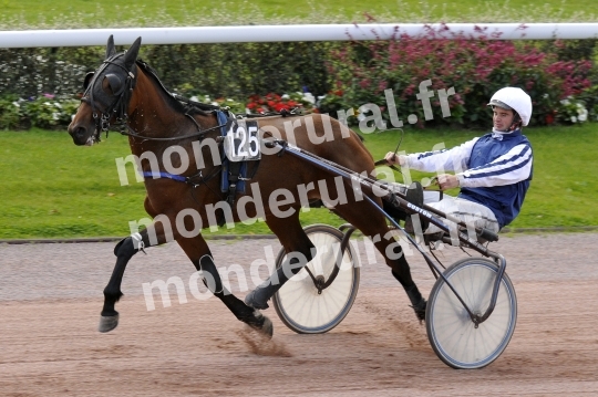 Qualifications a Caen du mardi 13 octobre 2015