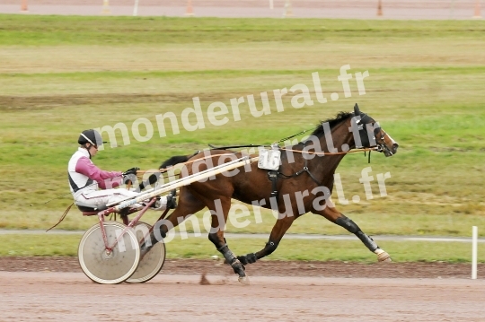 Seance de qualifications a Le Mans du jeudi 5 novembre 2015