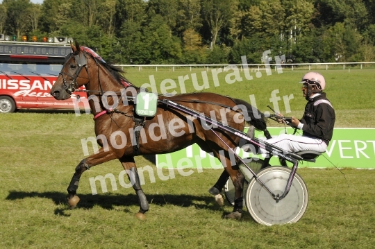 Trophee Vert - Carentan