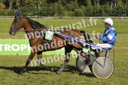 Trophee Vert - Carentan