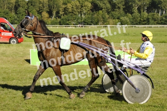 Trophee Vert - Carentan
