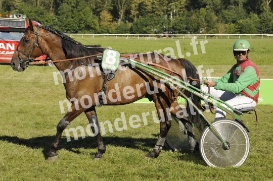 Trophee Vert - Carentan