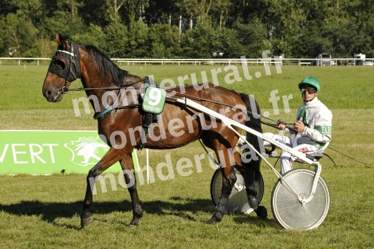 Trophee Vert - Carentan