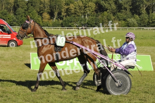 Trophee Vert - Carentan