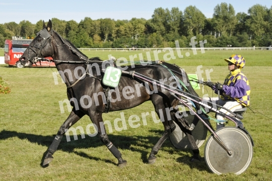 Trophee Vert - Carentan