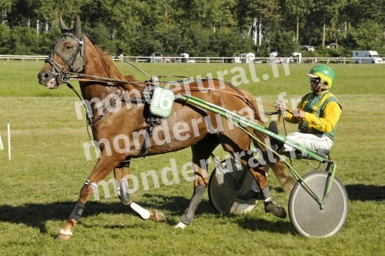 Trophee Vert - Carentan