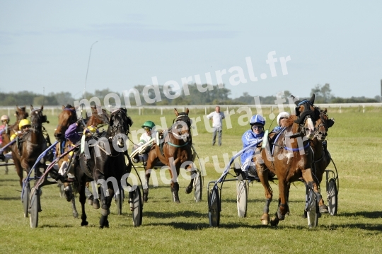 Trophee Vert - Carentan