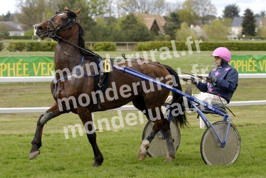 Trophee Vert - Chambray-les-Tours - 2008