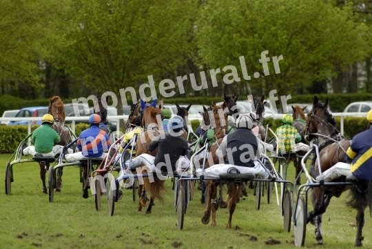 Trophee Vert - Chambray-les-Tours - 2008