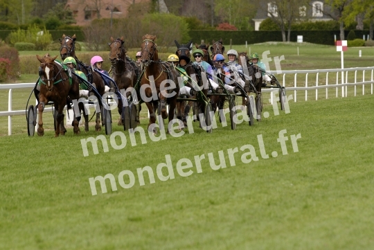 Trophee Vert - Chambray-les-Tours - 2008