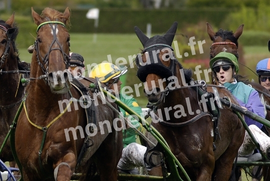 Trophee Vert - Chambray-les-Tours - 2008